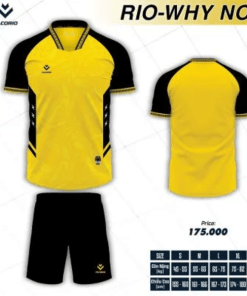 Quần Áo Thể Thao Chất Lượng Cao – Đa Dạng Mẫu Mã, Phù Hợp Mọi Hoạt Động 11 54 Quan ao the thao Phuc vu cho cac su kien the thao gia tri cao hon ao thun thuong 3